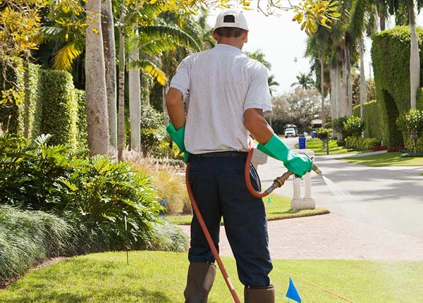 About Kingsville OH Pest Control